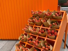 -Hermes爱马仕(成都远洋太古里店)