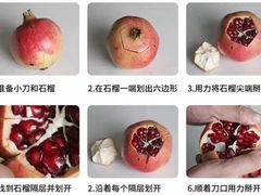 -南京众彩农副产品配送有限公司