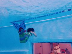 -上海潜殿潜水中心