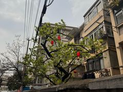 -吾悦广场(南京鼓楼店)