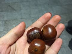 -方林富炒货店(西溪路78号本人店)