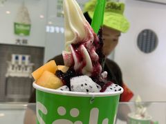 -Salud撒露欧洲冻酸奶(蓝色港湾店)