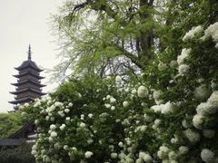 -常熟方塔园