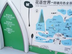 -荷塘月色湿地公园·向阳花洲