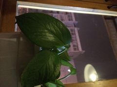 -雕刻时光咖啡馆(南院门店)