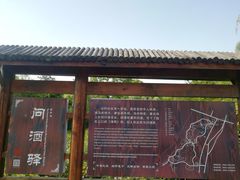 -杏花村文化旅游区