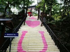 -沂蒙山旅游区云蒙景区(蒙山国家森林公园)