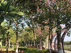 -映月湖公园
