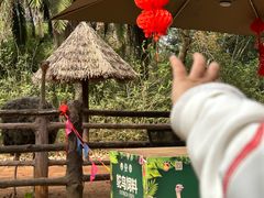 -海南热带野生动植物园