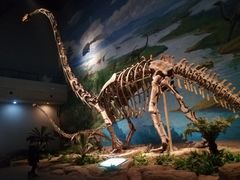 -自贡恐龙博物馆