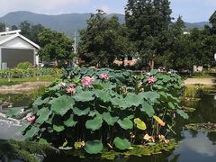 -国家植物园南园