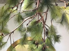 -亭下湖饭店(康岭店)