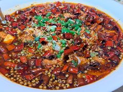 -连鹭海鲜·海肠捞饭·海胆饭(星海店)