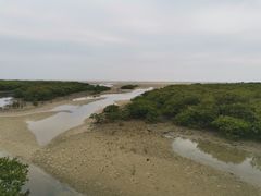 -北海金海湾红树林生态旅游区