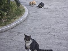 -上海长风大悦城