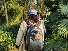 -重庆彩云湖湿地公园