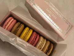 -Pierre Marcolini(德基广场店)