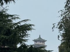 -璇景祥蔬菜水果店