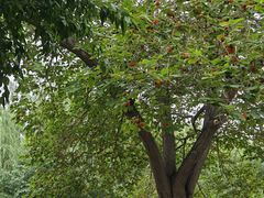 -北运河水利风景区