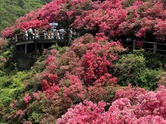 -木兰云雾山