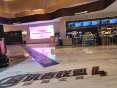 -万象影城(石家庄万象城IMAX激光店)