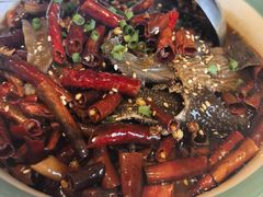 大刀杜毛血旺-开海·红岛海鲜虾水饺(石老人店)