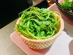 -芸山季·云南野生菌火锅(人民广场来福士店)