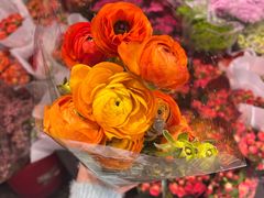 -循礼门鲜花花市(武汉循礼门店)