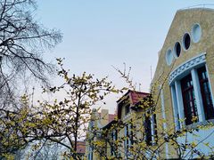 -长颈鹿咖啡(大学路店)