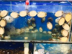 风味茄子-日照大牌檔•小船海鲜(万平口店)
