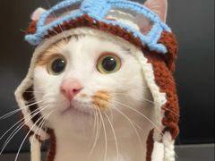 -福和面馆·始于2009(长寿路店)