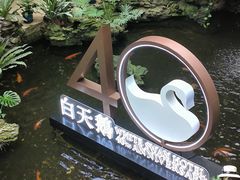 -白天鹅宾馆-宏图府餐厅