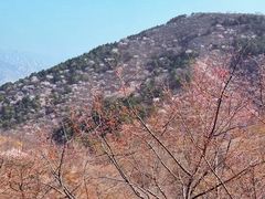 -碓臼峪自然风景区