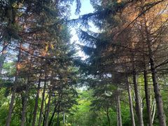 -长春市南湖公园