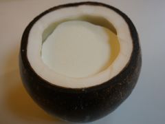 -志龙皇冠吃货椰子铺