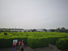 -上海鲜花港