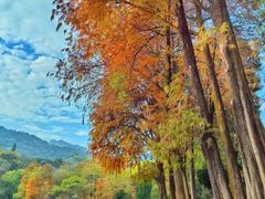 -广州市白云山风景名胜区