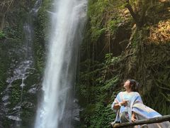 -莫里热带雨林景区