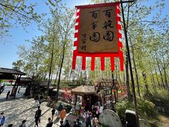 -合肥滨湖国家森林公园