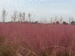 -汉长安城未央宫国家考古遗址公园