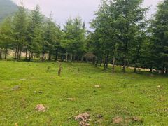 -盛德圆(五台山云龙店)
