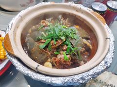 啫啫甲鱼煲-金龙·打边炉(南京西路店)