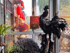 -慢丽江·云南野生菌土鸡锅(西山店)