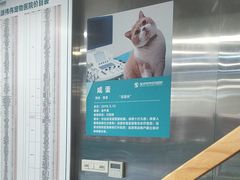 -伟伟宠物医院·CT影像中心·瑞派犬猫综合性门诊(汉口总院)