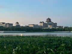 -莲花池公园