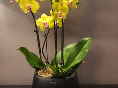 -外滩1288花园丽舍