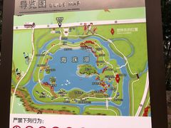 -海珠湖公园