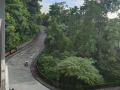 -圣淘沙天际线斜坡滑车