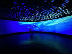 -同济大学四平路校区深海探索馆