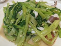 -富来美食(成发大厦店)